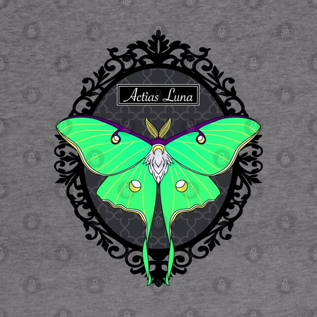 Luna Moth in a Frame by RavenWake